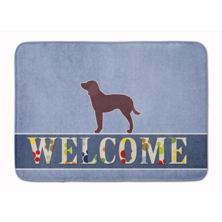 Carolines Treasures American Water Spaniel Welcome Machine Washable Memory Foam Mat BB5505RUG